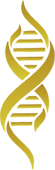 Ícone de fita de DNA estilizada simbolizando a circulação sanguínea e oxigenação muscular